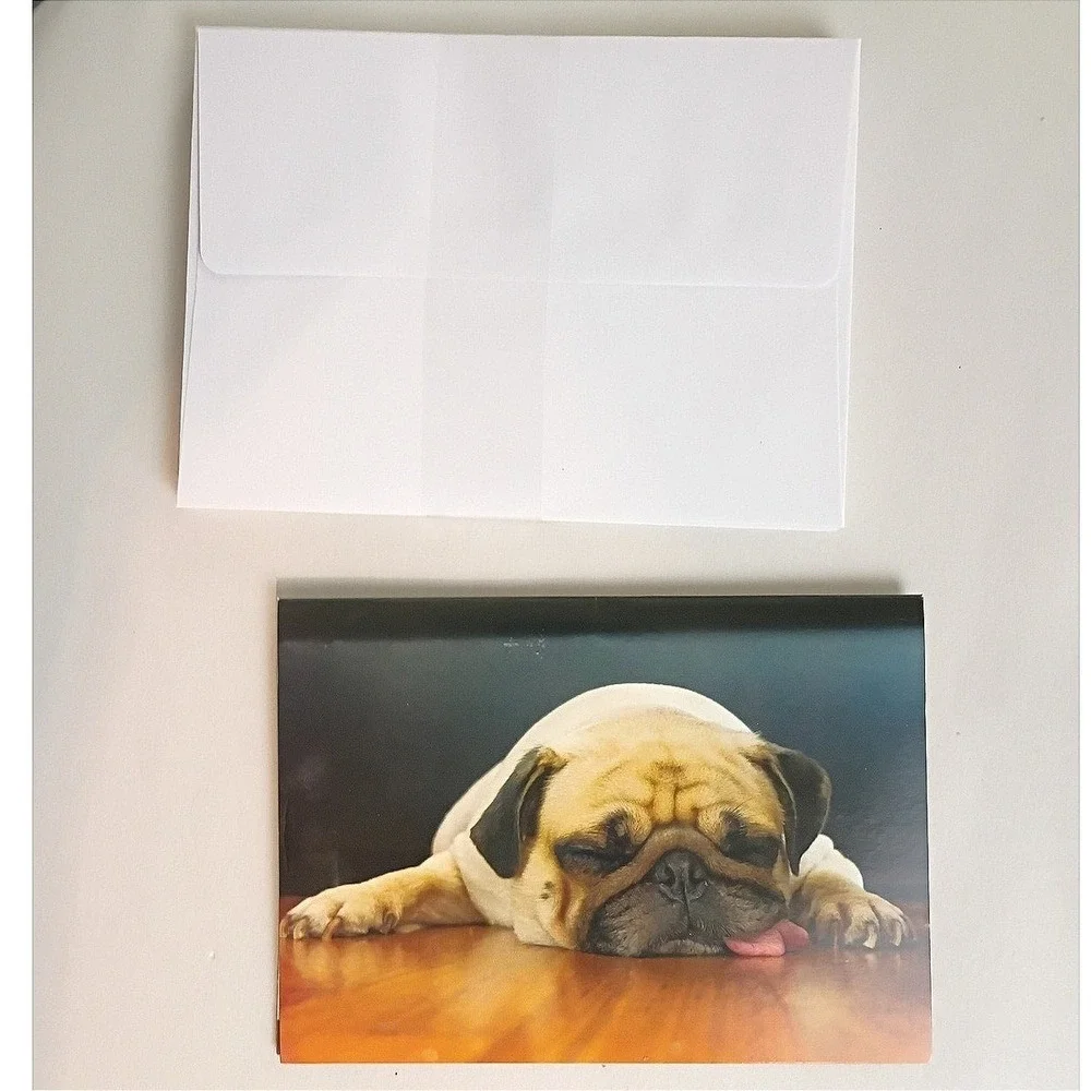 Crown Point Graphics Sleeping Pug Puppy Boxed Note Cards Set with Envelopes‎ NEW